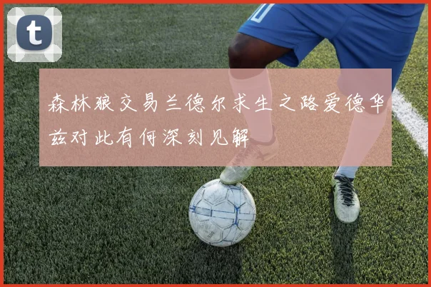 森林狼交易兰德尔求生之路爱德华兹对此有何深刻见解