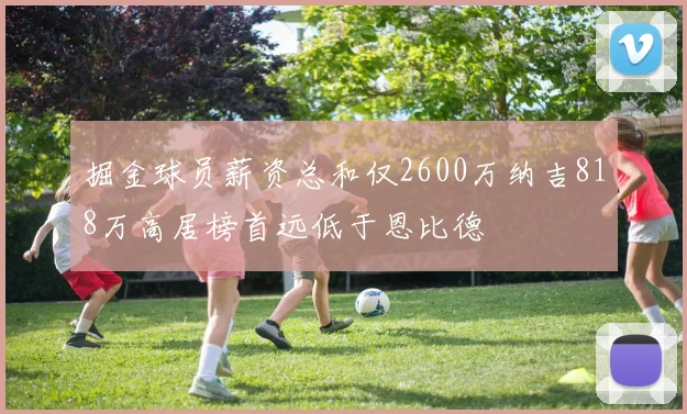 掘金球员薪资总和仅2600万纳吉818万高居榜首远低于恩比德