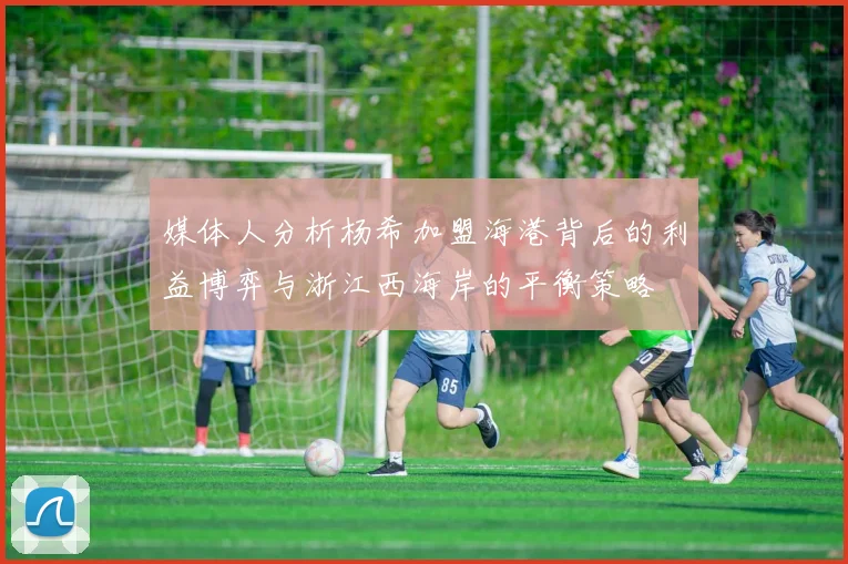 媒体人分析杨希加盟海港背后的利益博弈与浙江西海岸的平衡策略