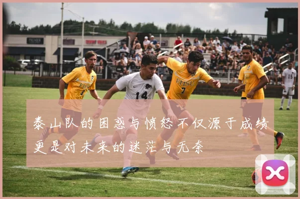 泰山队的困惑与愤怒不仅源于成绩更是对未来的迷茫与无奈