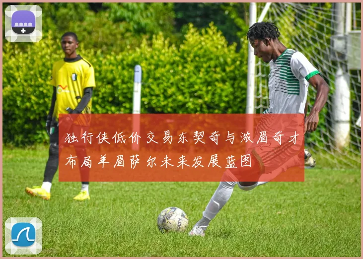 独行侠低价交易东契奇与浓眉奇才布局羊眉萨尔未来发展蓝图